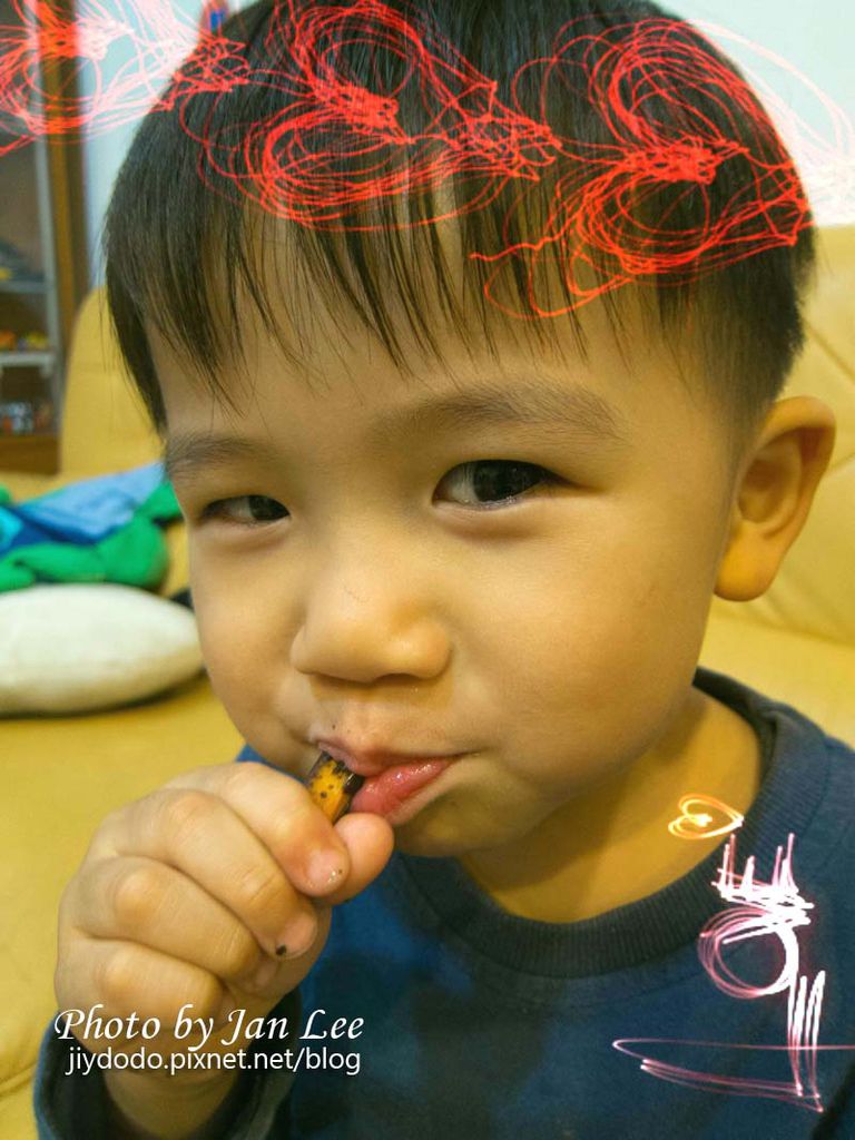 貝露琪手工果乾巧克力9拷貝