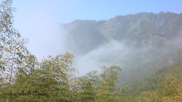 竹海 竹海