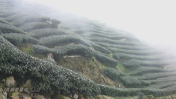 八卦2.jpg 八卦2.jpg