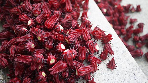 P1230823 (2) P1230823 (2)