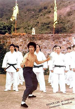 10007012_432625150173686_578378949_n.jpg 10007012_432625150173686_578378949_n.jpg