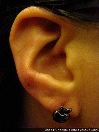 IMG_1772.JPG IMG_1772.JPG