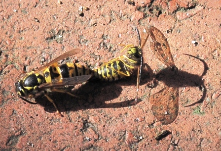 IMG_3711.jpg IMG_3711.jpg