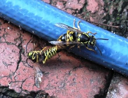 IMG_3732.jpg IMG_3732.jpg