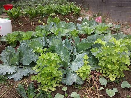 1426246_10200797890579684_1300381589_n