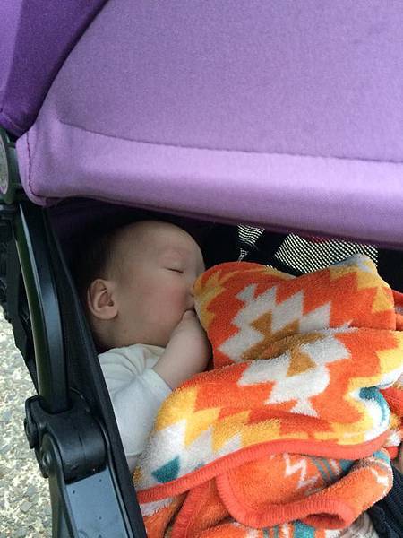 11116178_353485118194950_997878332_n 11116178_353485118194950_997878332_n