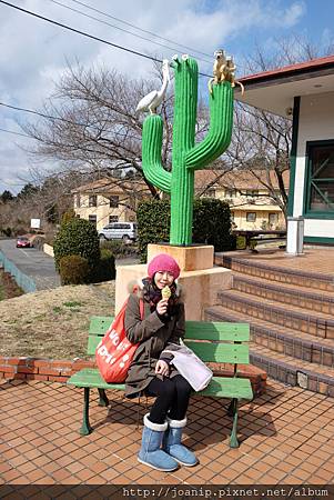 仙人掌公園 仙人掌公園
