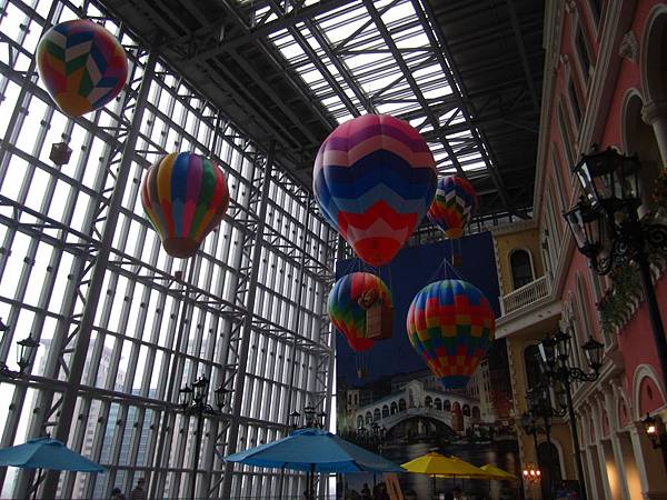 IMG_8856 IMG_8856