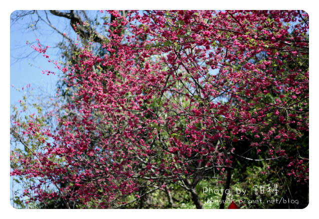 廬山 0691.jpg 廬山 0691.jpg