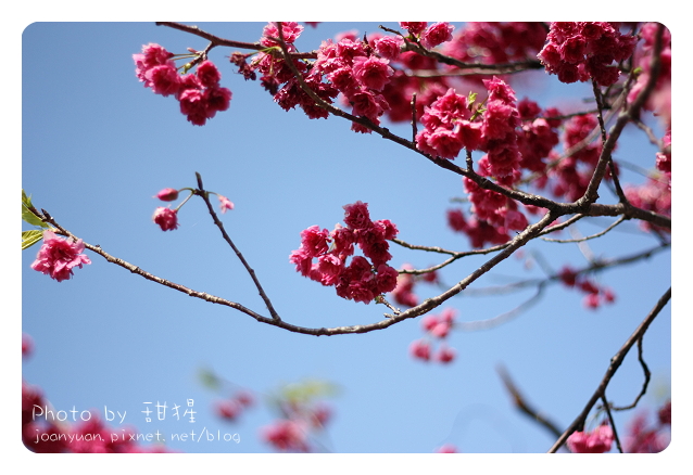 廬山 2441.jpg 廬山 2441.jpg