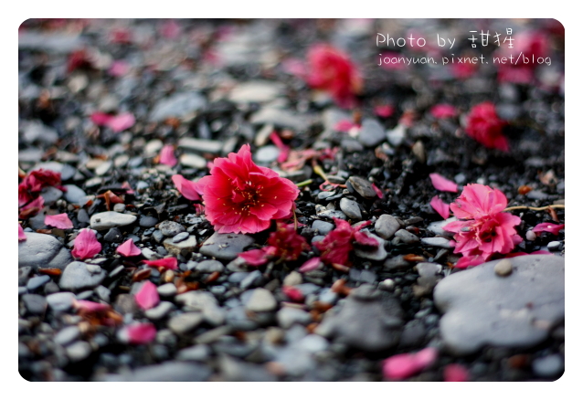 廬山 1321.jpg 廬山 1321.jpg