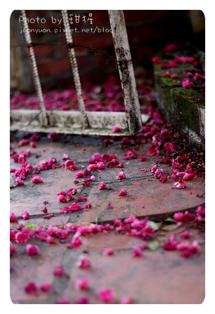 廬山 2681.jpg 廬山 2681.jpg