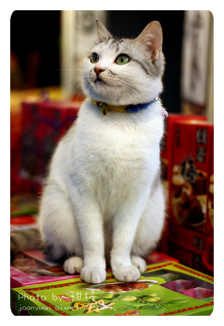 廬山 4151.jpg 廬山 4151.jpg