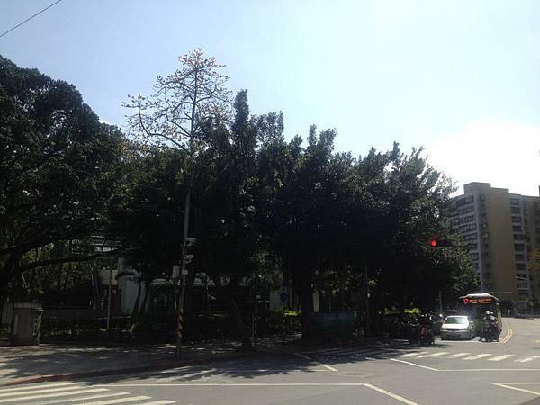 中正新城 中正新城