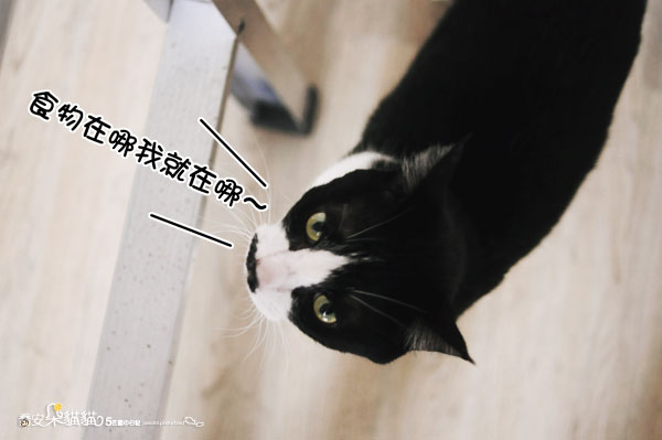 DSC_6785 DSC_6785