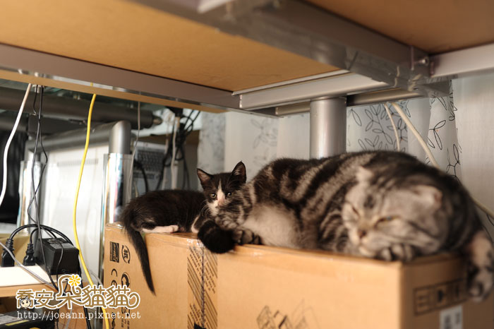DSC_4897.jpg DSC_4897.jpg