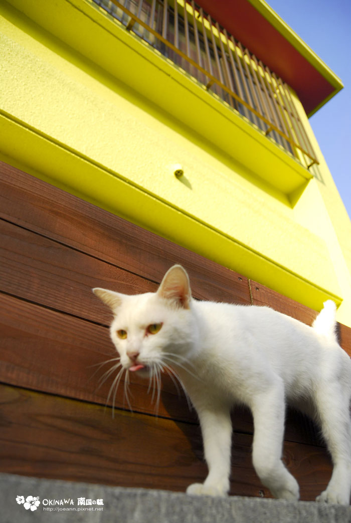 DSC_0741.jpg DSC_0741.jpg