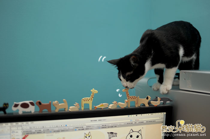 DSC_4453.jpg DSC_4453.jpg