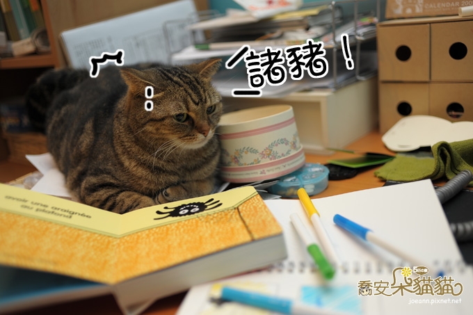 DSC_8871.jpg DSC_8871.jpg