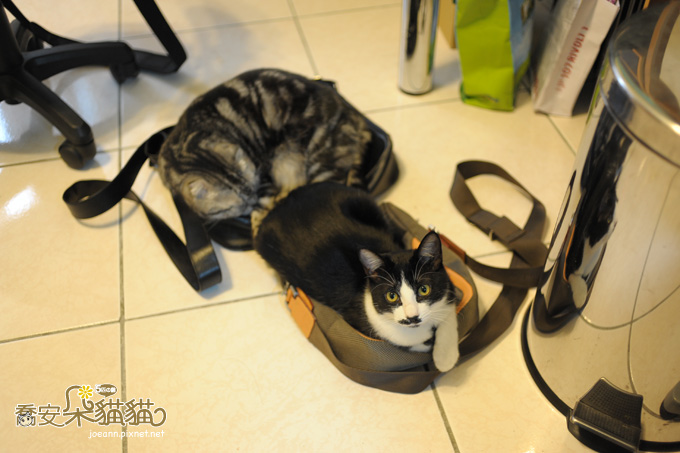 DSC_9330.jpg DSC_9330.jpg
