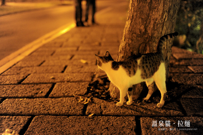 DSC_6047.jpg DSC_6047.jpg