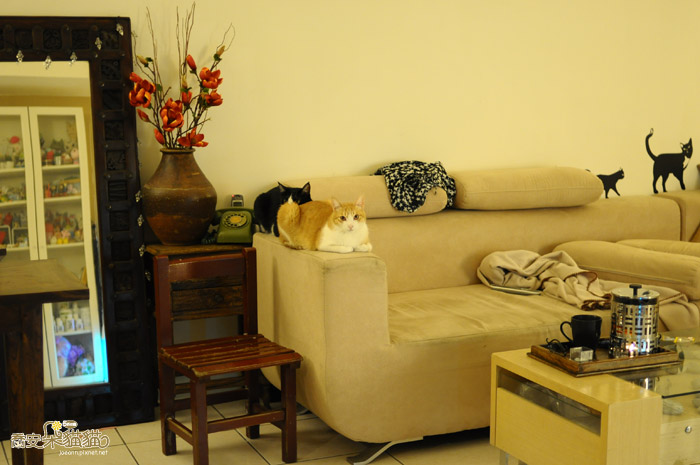 DSC_0088.jpg DSC_0088.jpg