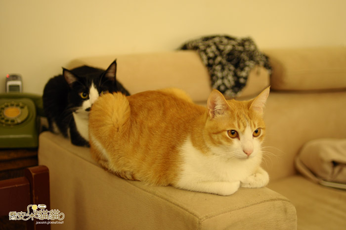 DSC_0091.jpg DSC_0091.jpg