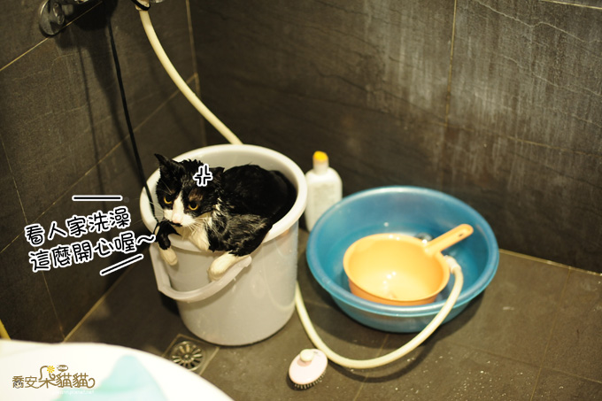 DSC_6581.jpg DSC_6581.jpg