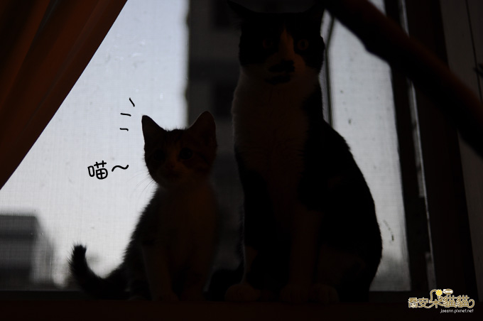 DSC_0840.jpg DSC_0840.jpg