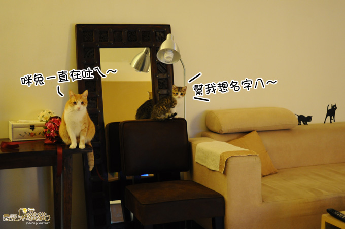 DSC_0858.jpg DSC_0858.jpg
