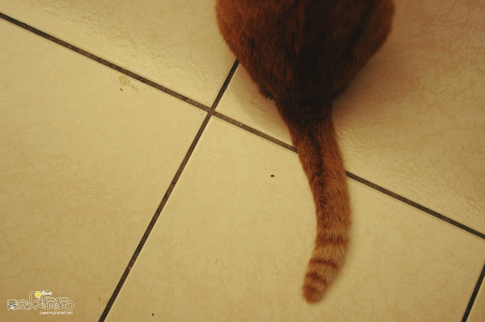 DSC_0939.jpg DSC_0939.jpg