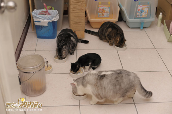 DSC_7173.jpg DSC_7173.jpg