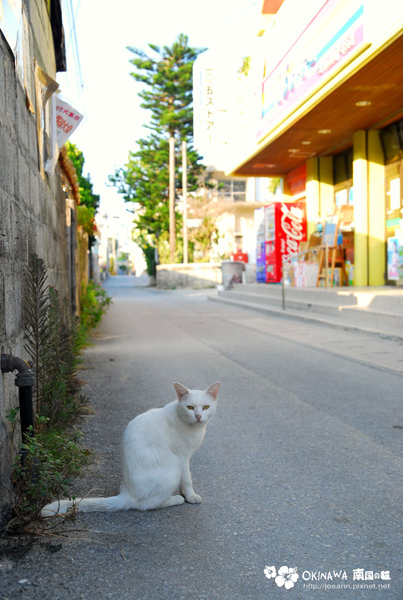 DSC_0679.jpg DSC_0679.jpg
