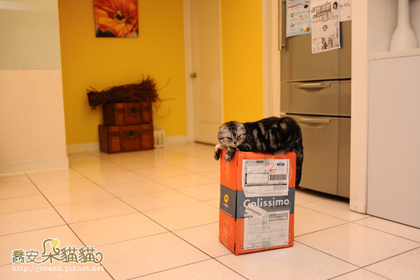 DSC_8833.jpg DSC_8833.jpg