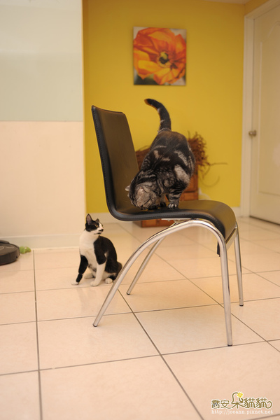 DSC_8867.jpg DSC_8867.jpg