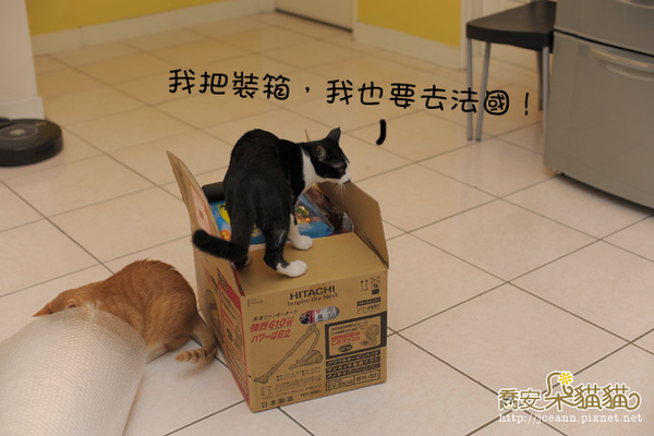 DSC_9171.jpg DSC_9171.jpg