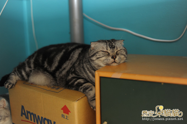 DSC_8855.jpg DSC_8855.jpg