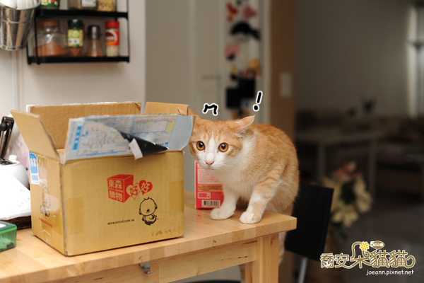 DSC_5461.jpg DSC_5461.jpg