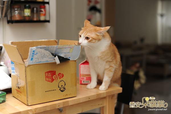 DSC_5462.jpg DSC_5462.jpg