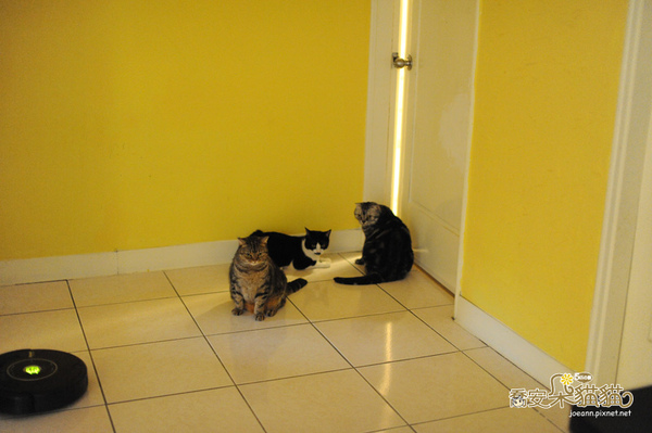 DSC_9665.jpg DSC_9665.jpg