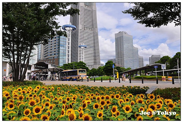 DSC_4738.JPG DSC_4738.JPG