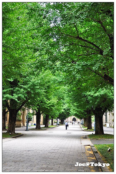 DSC_5355.JPG DSC_5355.JPG