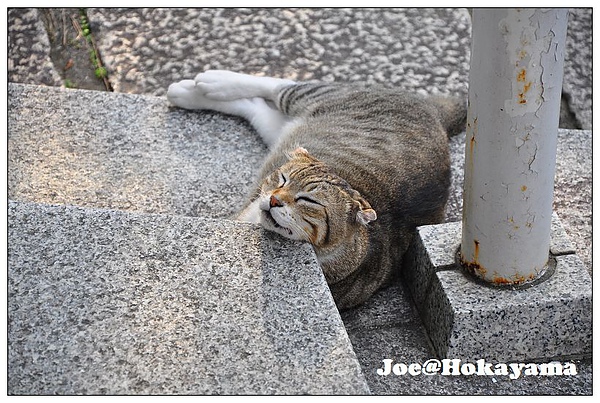 DSC_7003.jpg DSC_7003.jpg