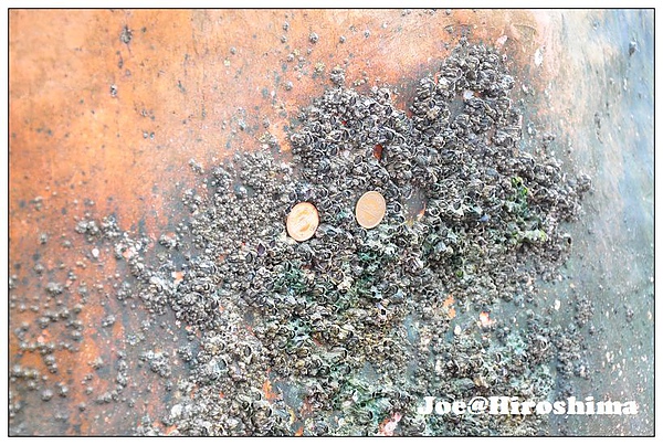 DSC_6288.JPG DSC_6288.JPG