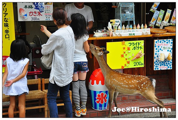 DSC_6238.JPG DSC_6238.JPG