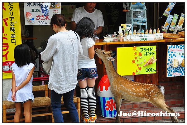 DSC_6239.JPG DSC_6239.JPG