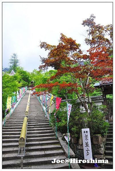 DSC_6378.JPG DSC_6378.JPG