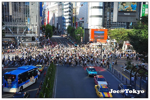 DSC_3844.JPG DSC_3844.JPG