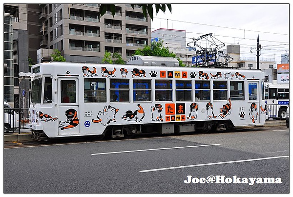 DSC_6436.jpg DSC_6436.jpg