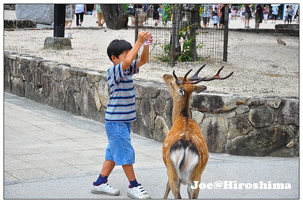 DSC_6245.JPG DSC_6245.JPG